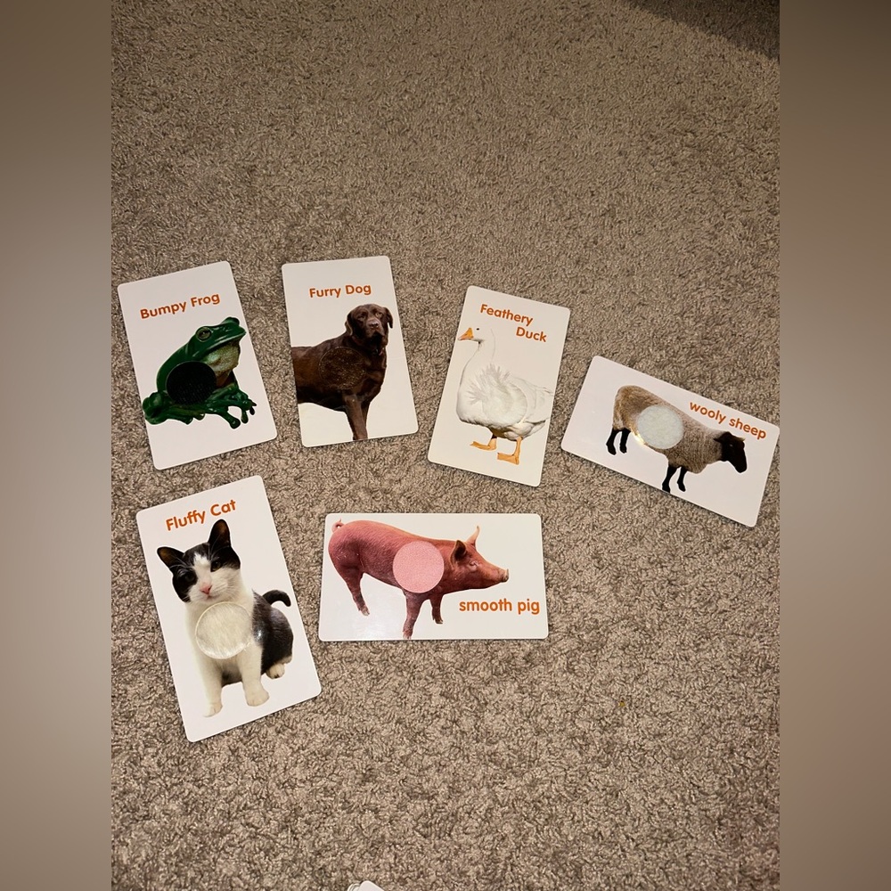 Teach My Baby Learning Kit - Picture 4 of 13